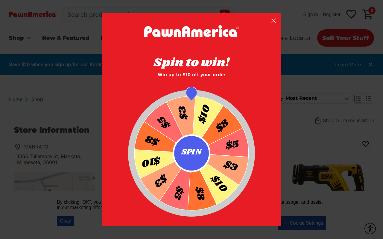 Pawn America website preview
