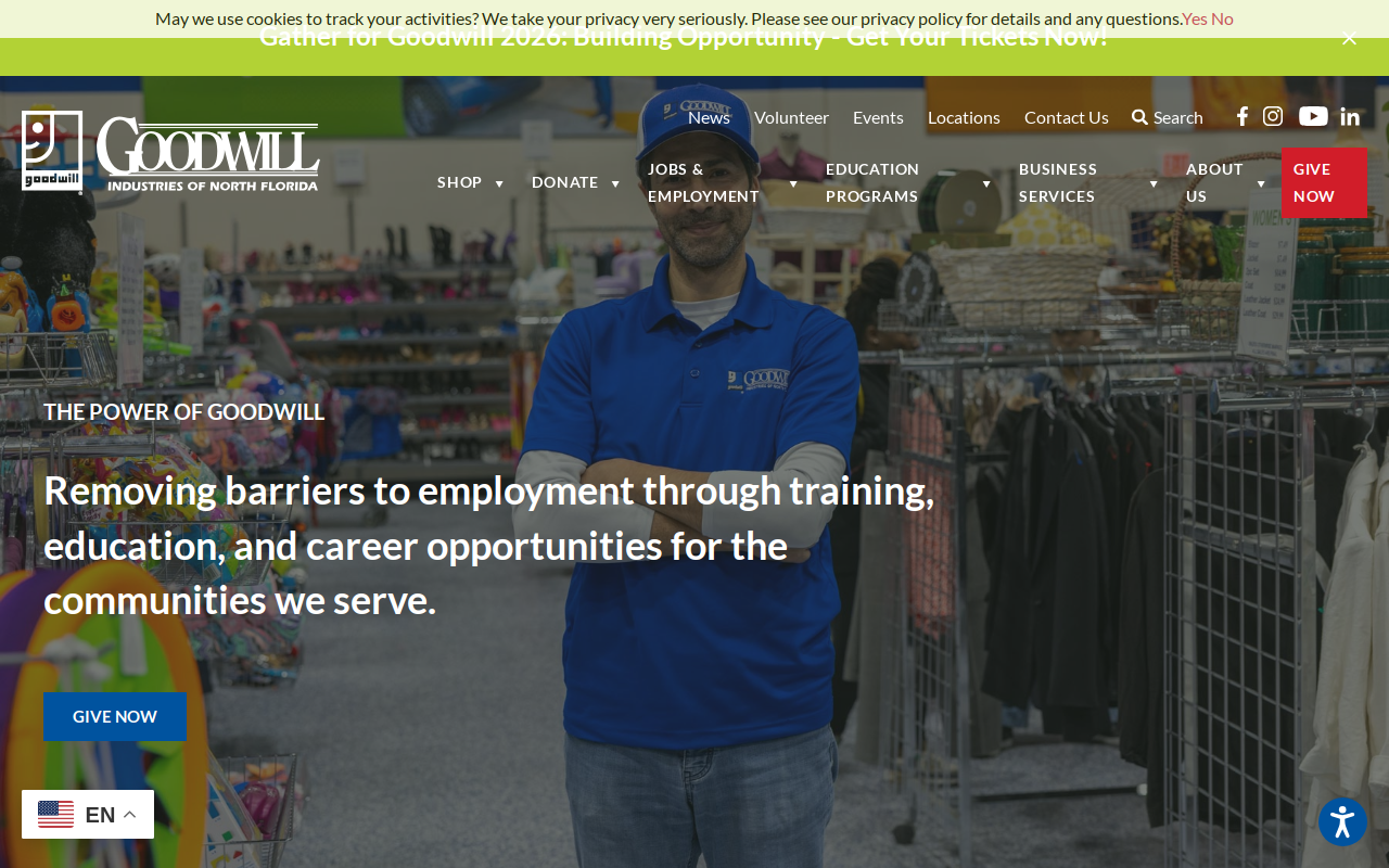 Goodwill website preview