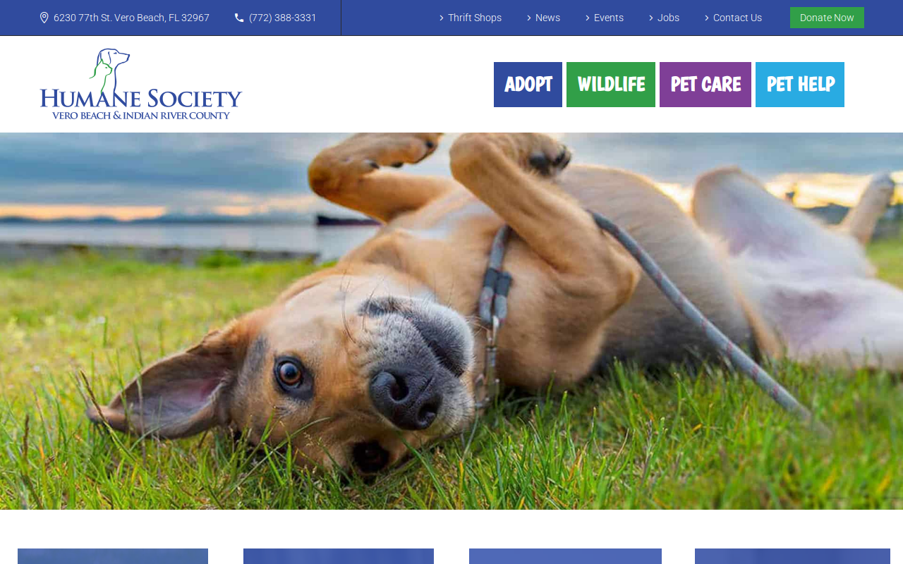 Humane Society Thrift Shop website preview