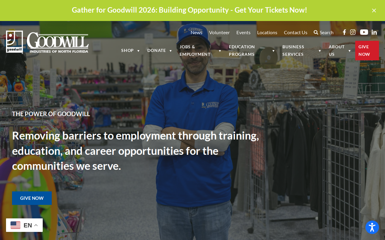 Goodwill website preview
