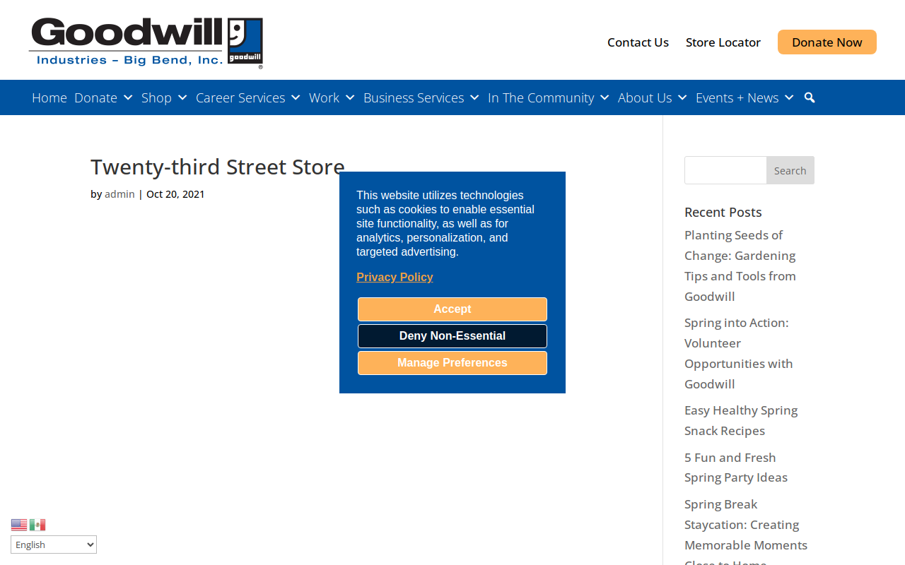 Goodwill website preview