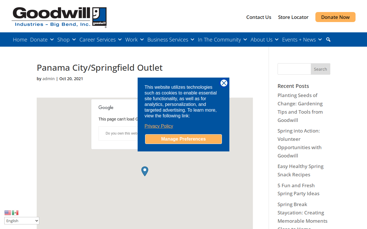 Goodwill website preview