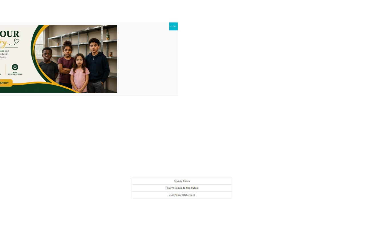 Goodwill website preview