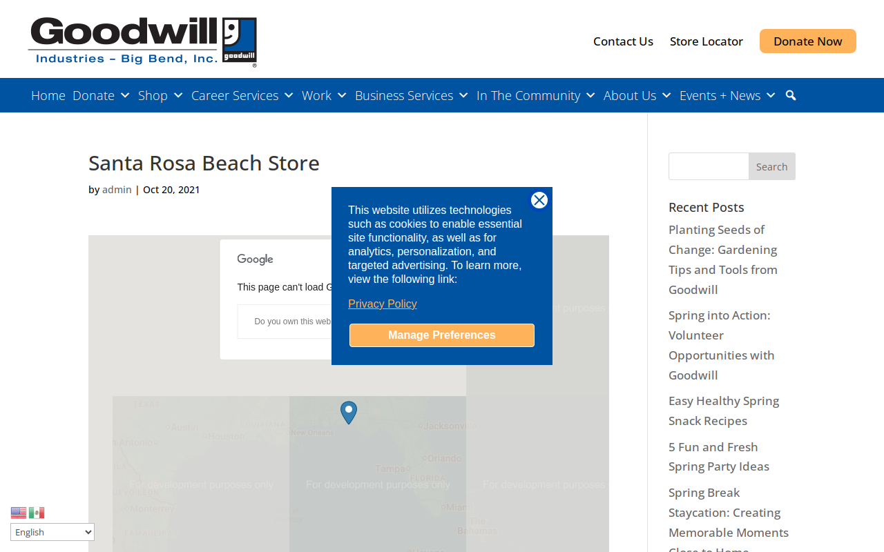 Goodwill website preview