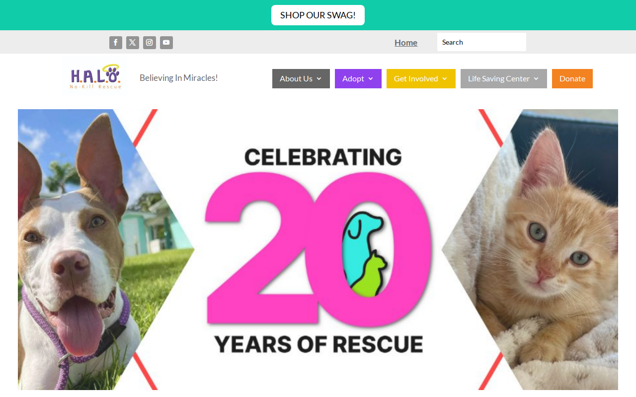 H.A.L.O.S Rescued Treasures Thriftique website preview