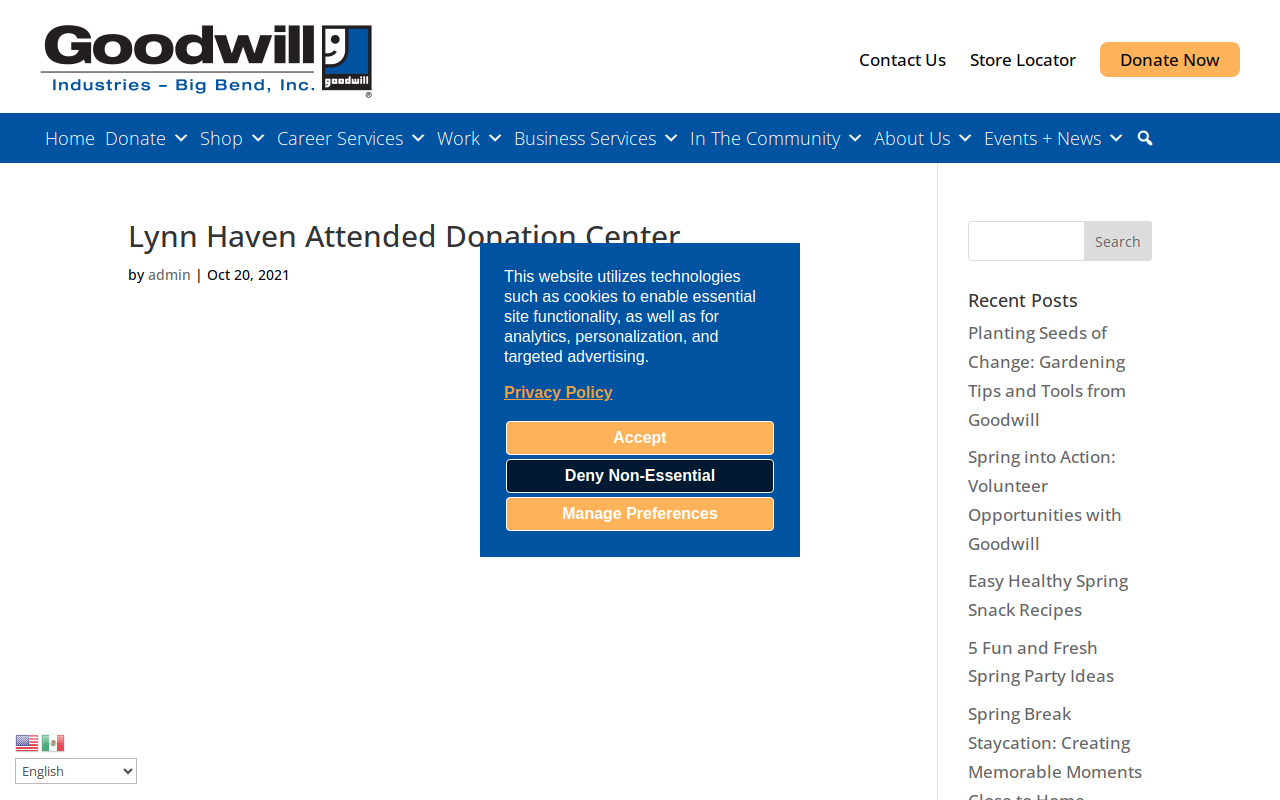 Goodwill website preview