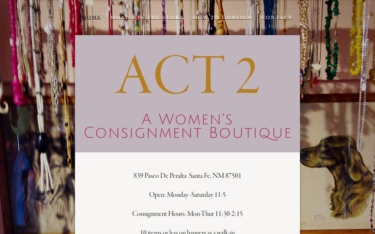 Act 2 website preview