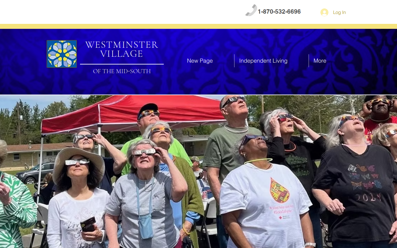 Fannie Ruth White Elephant website preview