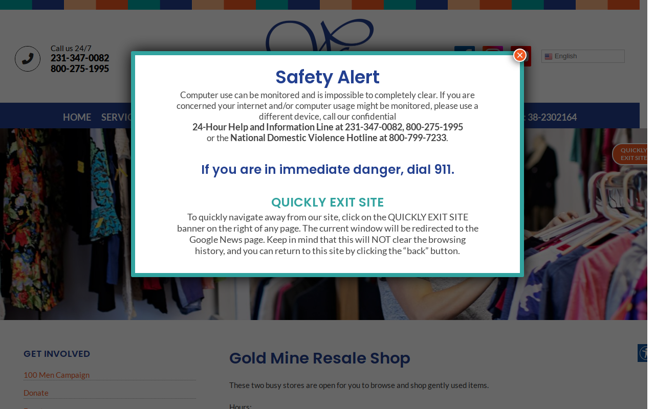 Gold Mine Resale Shop website preview