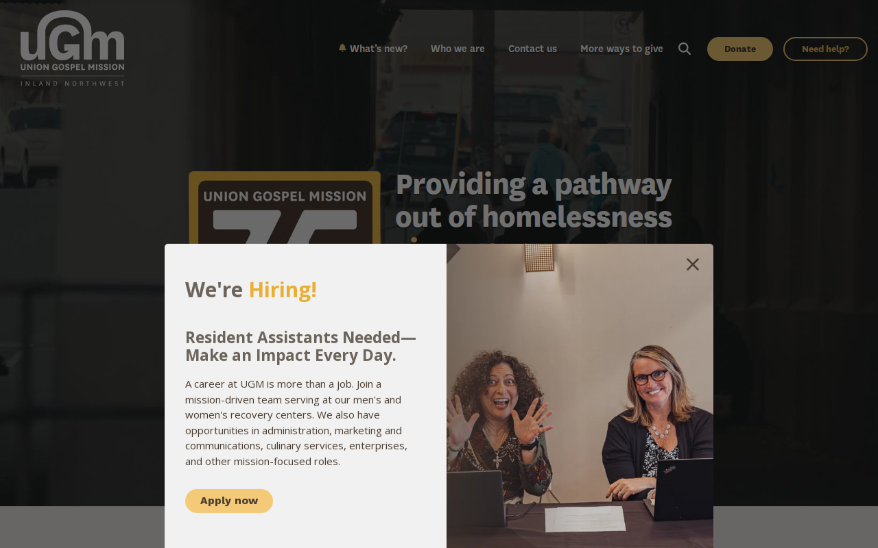 UGM Thrift Store website preview