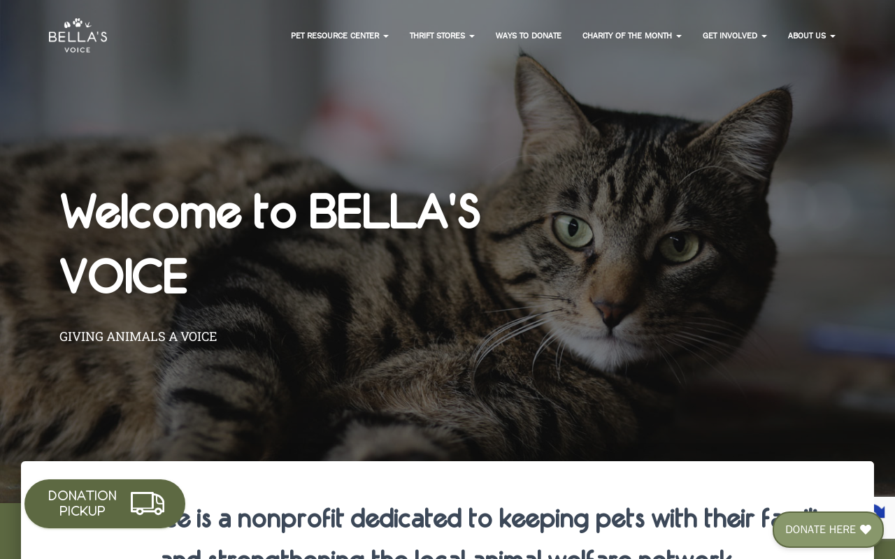Bella's Voice website preview