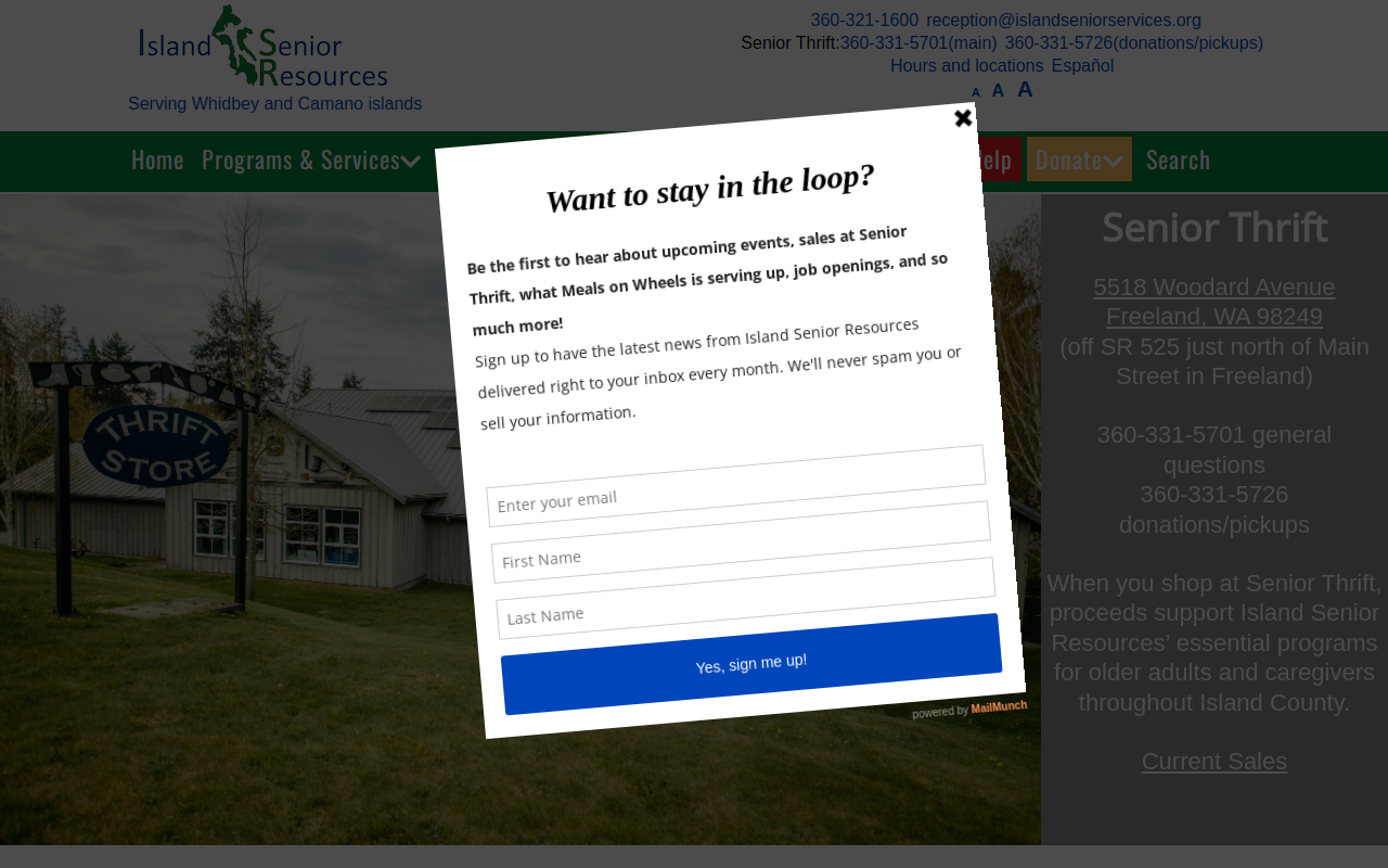Senior Thrift Store website preview