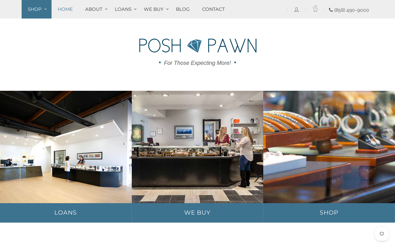 Posh Pawn website preview