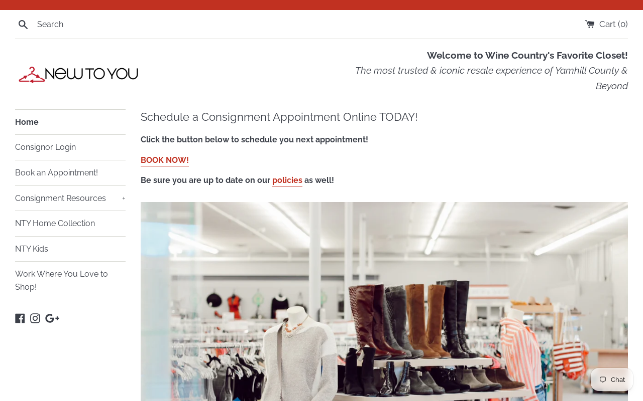 New to You website preview