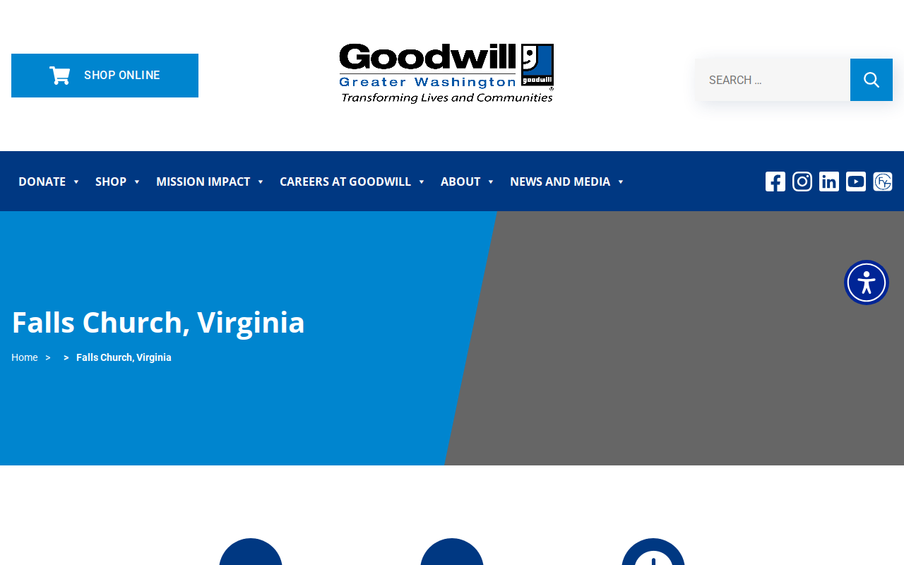 Goodwill website preview