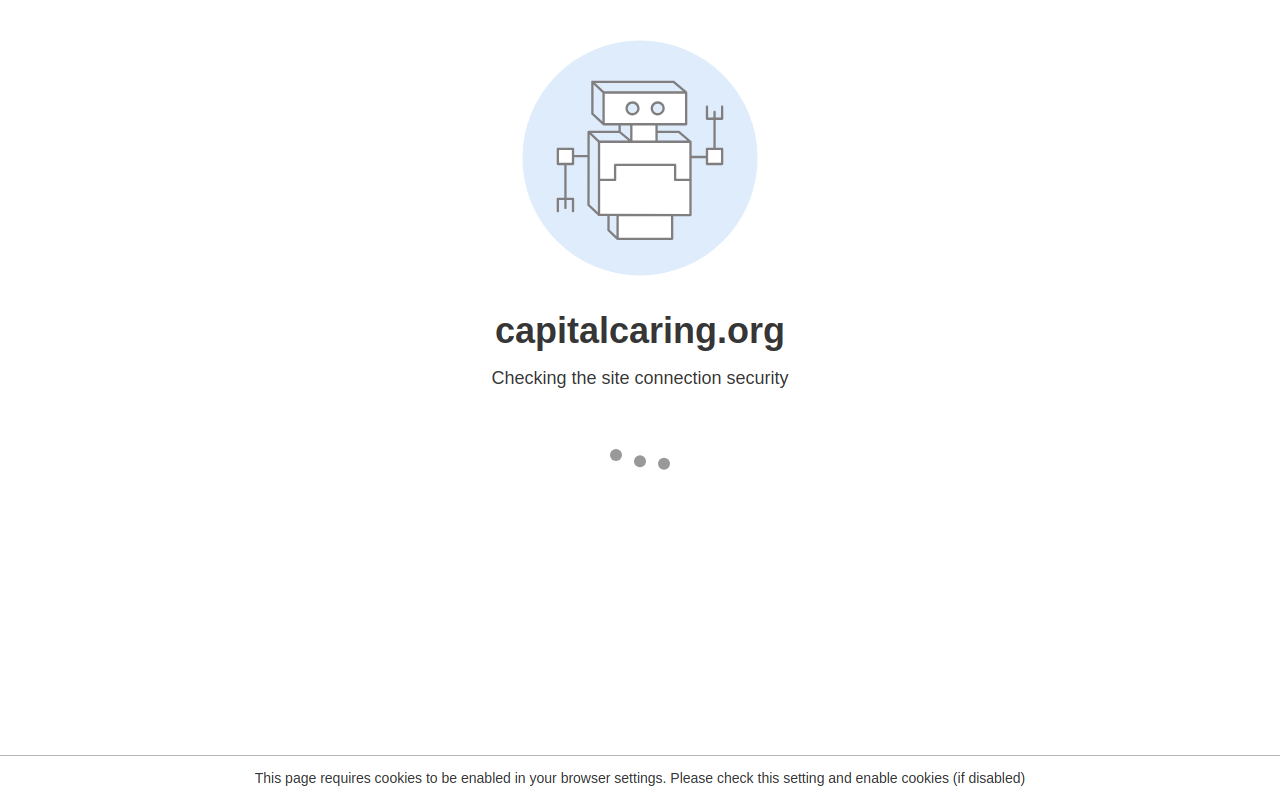 Capital Caring Thrift Store & Boutique website preview