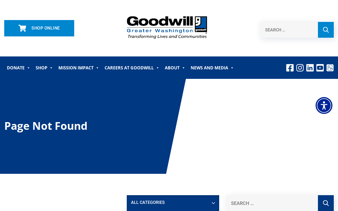 Goodwill website preview