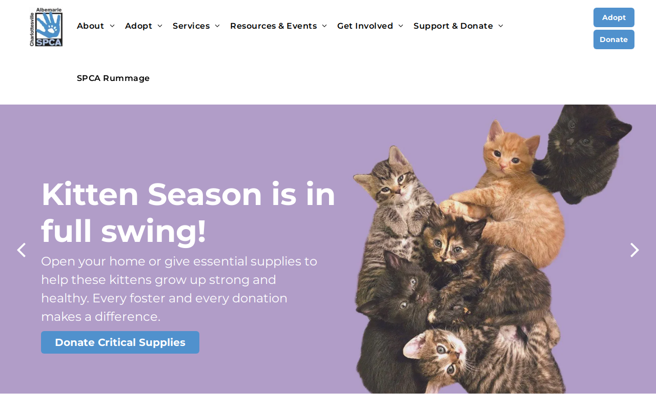 SPCA Rummage website preview