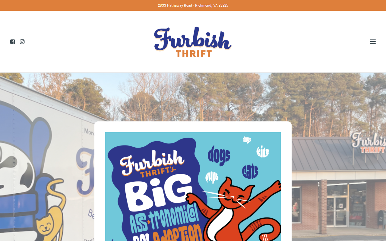 Furbish Thrift website preview