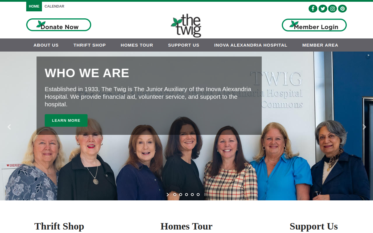 Twig Thrift Shop website preview