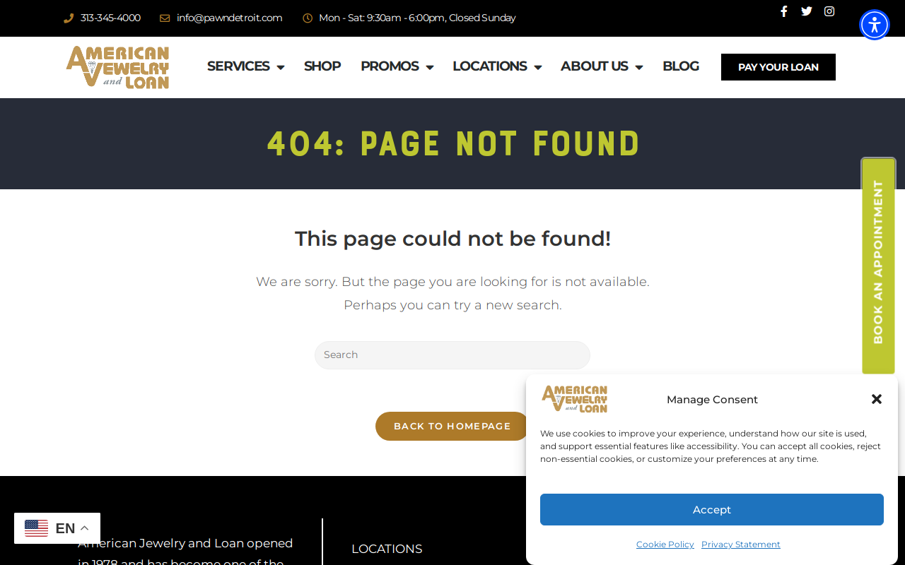 American Jewelry and Loan website preview