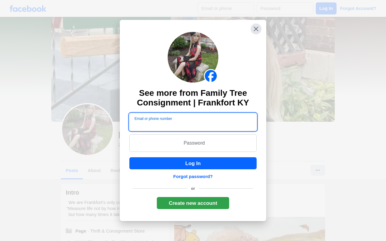 Family Tree Consignment Boutique website preview