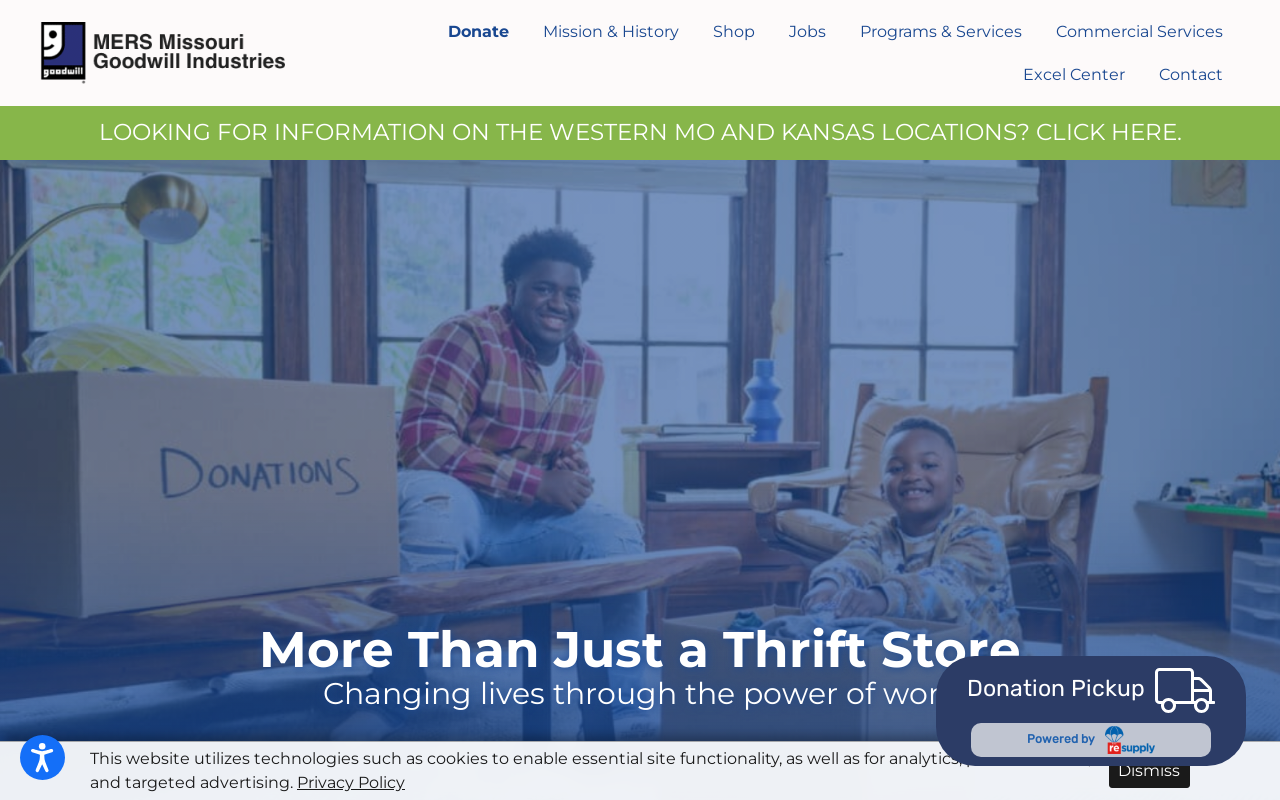 Goodwill website preview