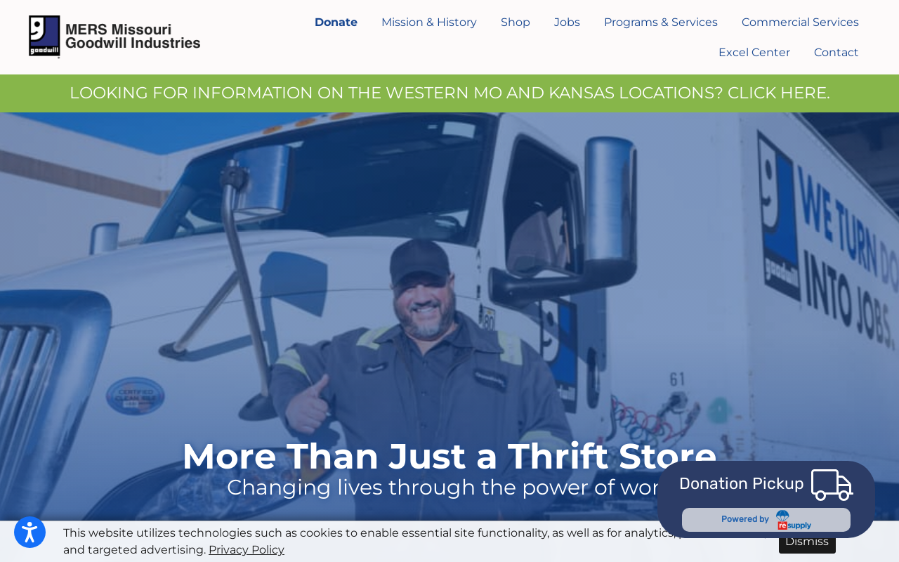 Goodwill website preview