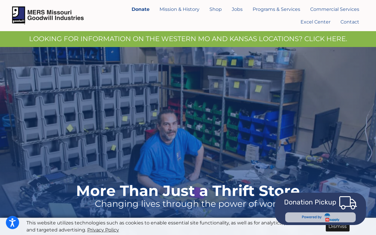 Goodwill website preview
