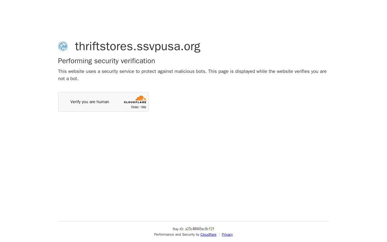 Saint Vincent de Paul Thrift Store website preview