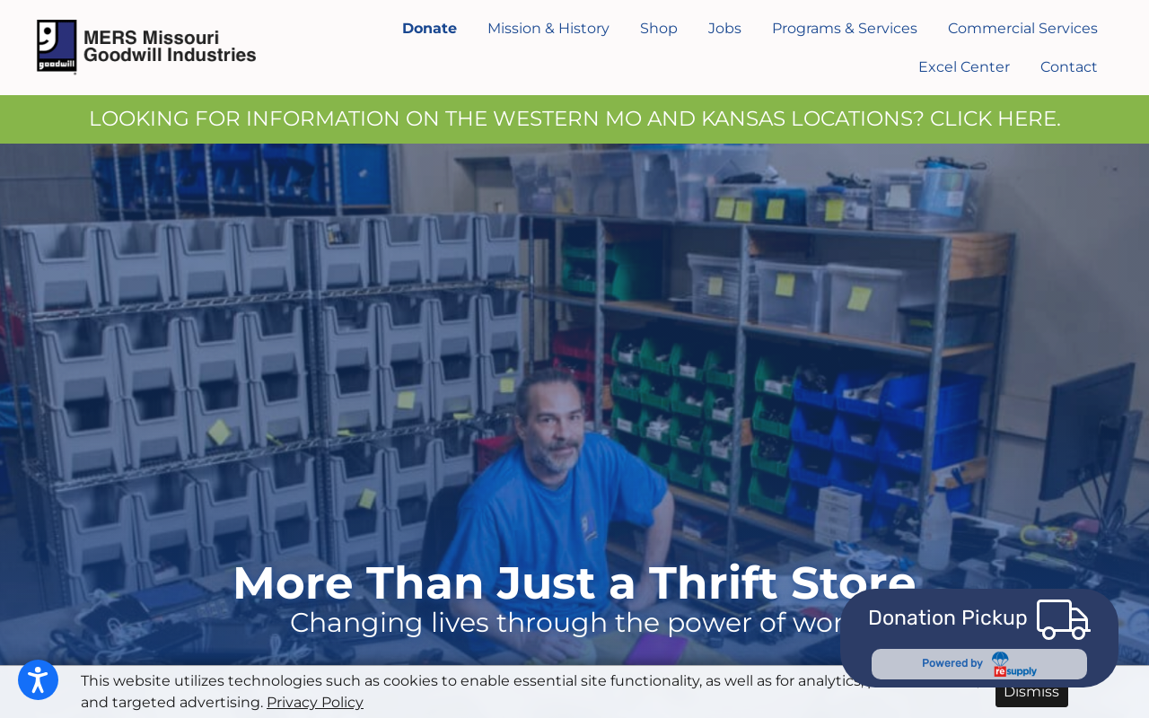 Goodwill website preview