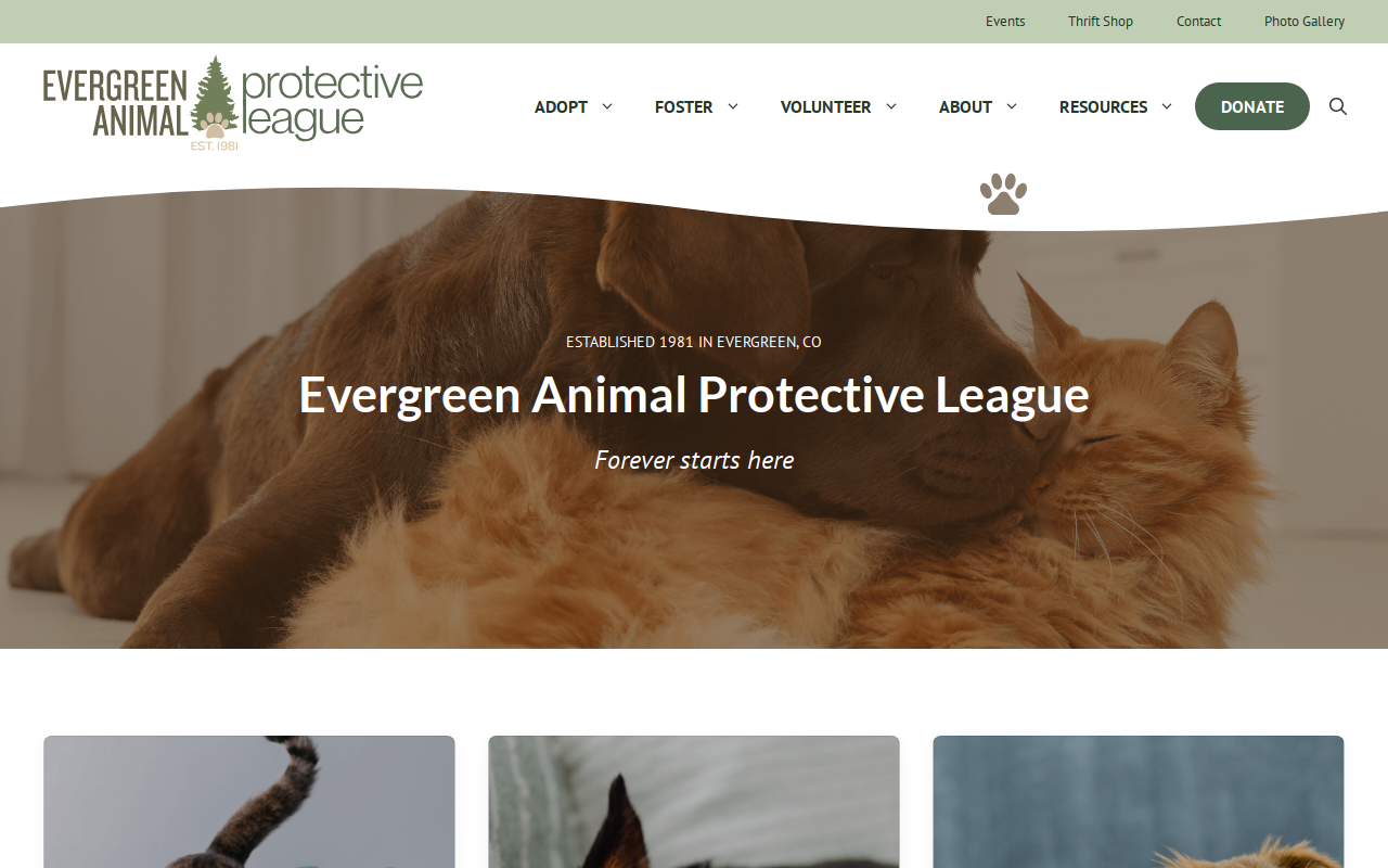 EAPL Thrift Store website preview