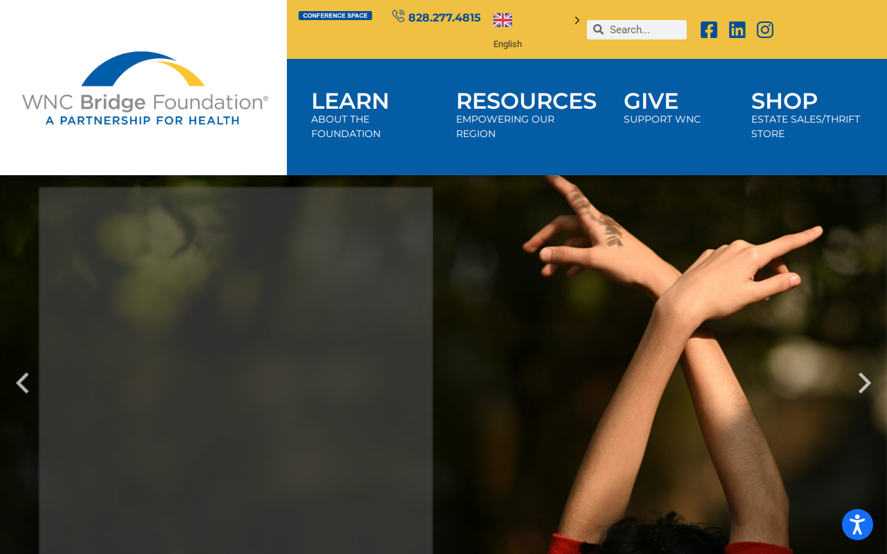 WNC Bridge Foundation website preview