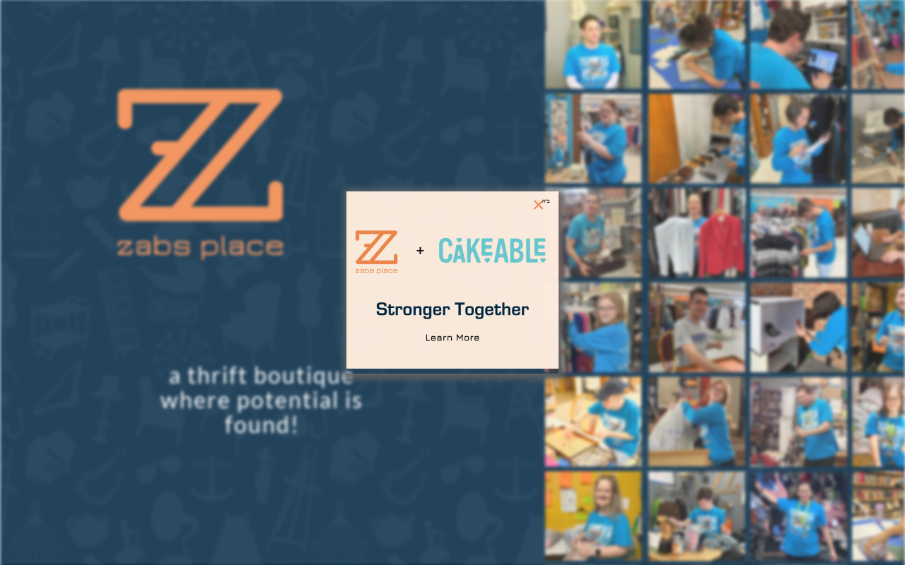 ZABS Place website preview
