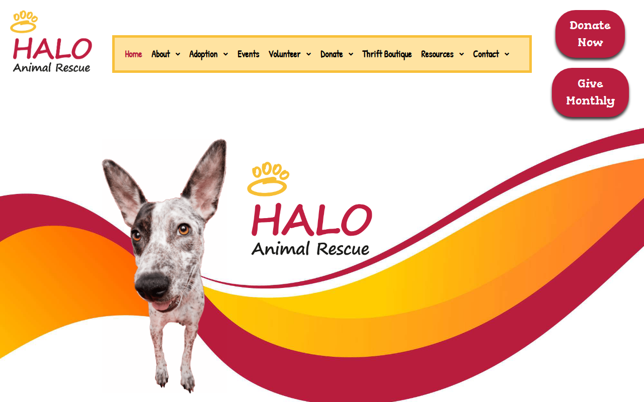HALO Animal Rescue Thrift Boutique website preview