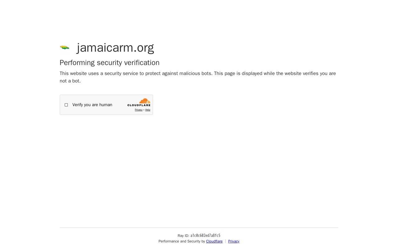 JRM Store website preview