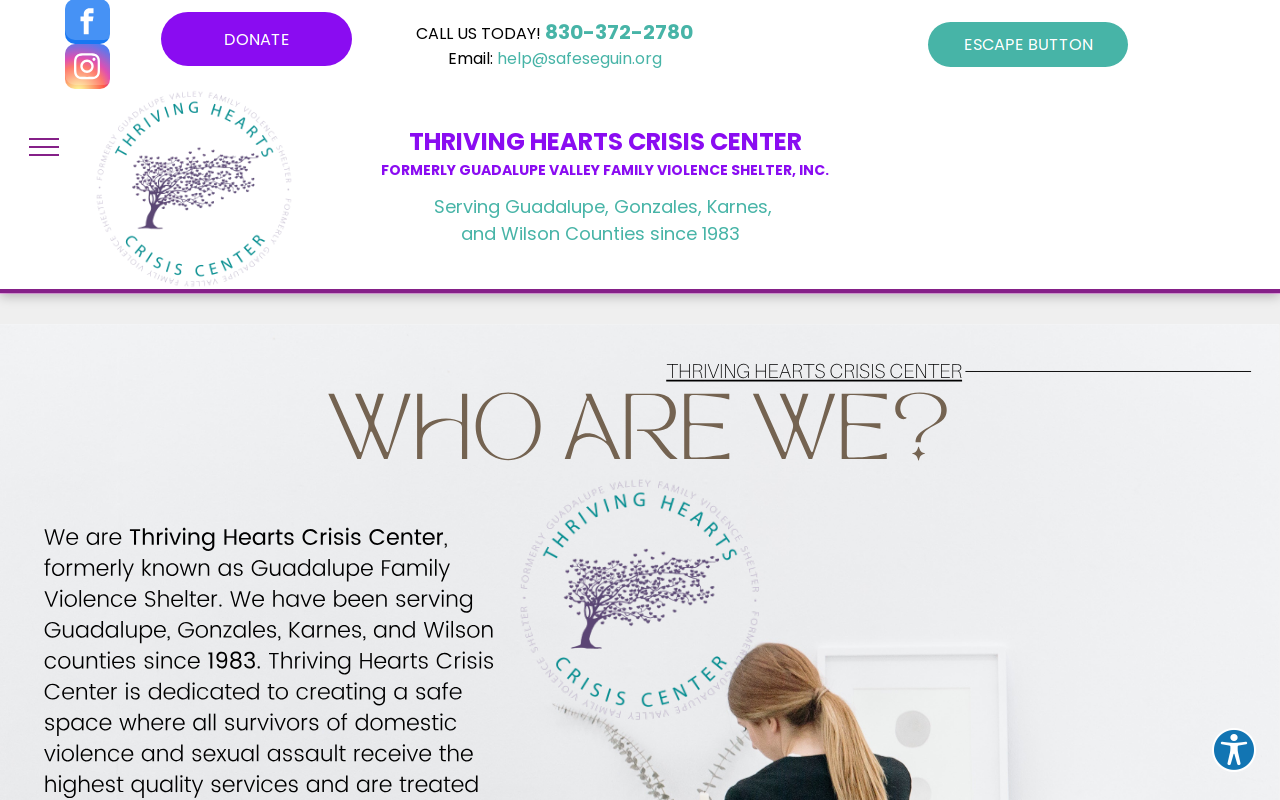 The Cranny website preview