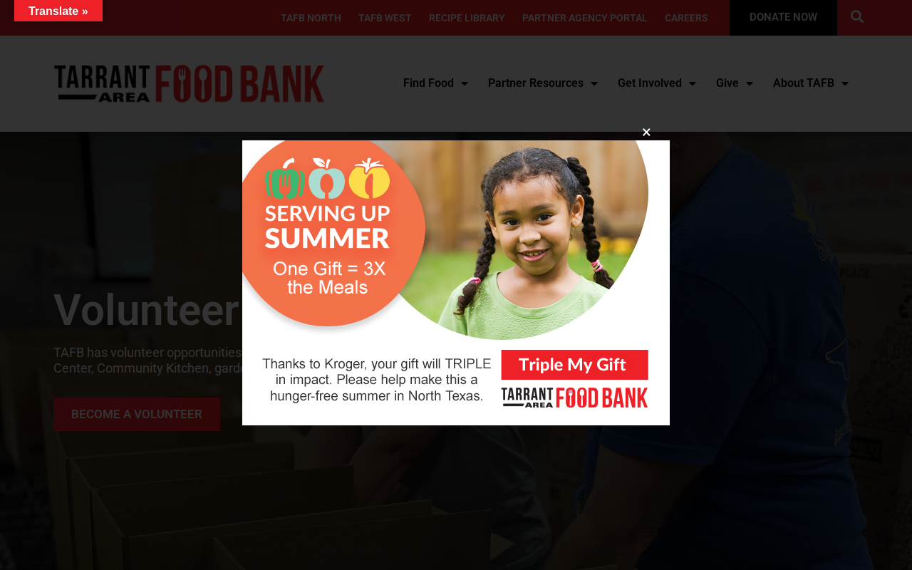 Tarrant Area Food Bank website preview