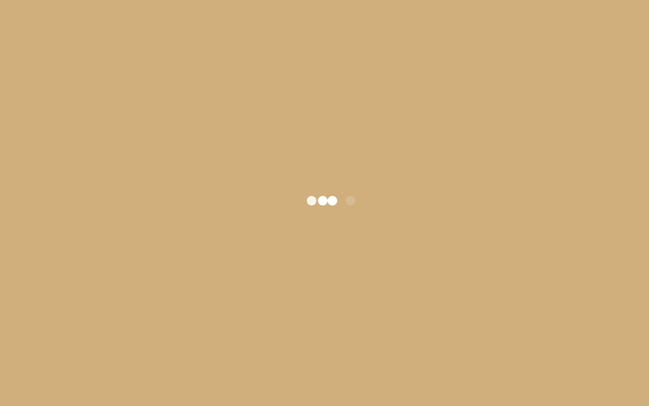 The Village Store website preview