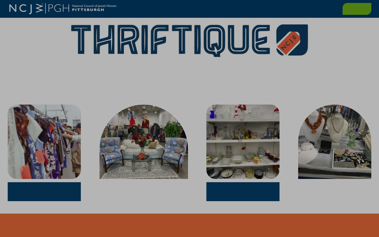 Thriftique website preview