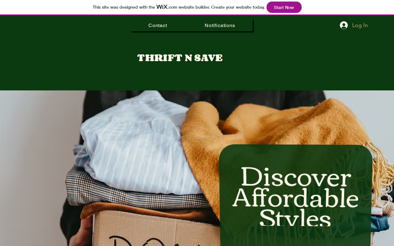 Thrift N Save website preview