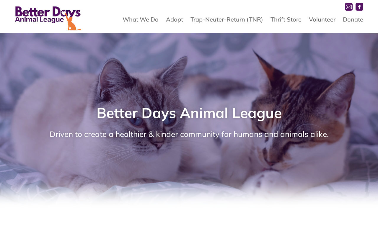 Better Days Animal League website preview