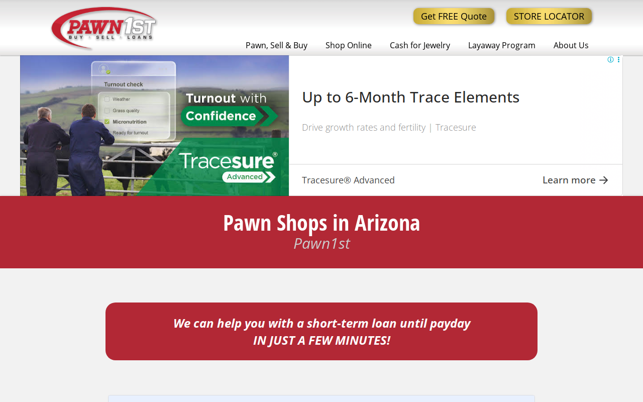 Pawn1st website preview