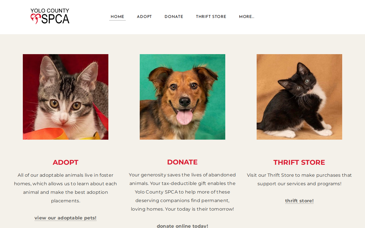 SPCA Yolo County Thrift Store website preview
