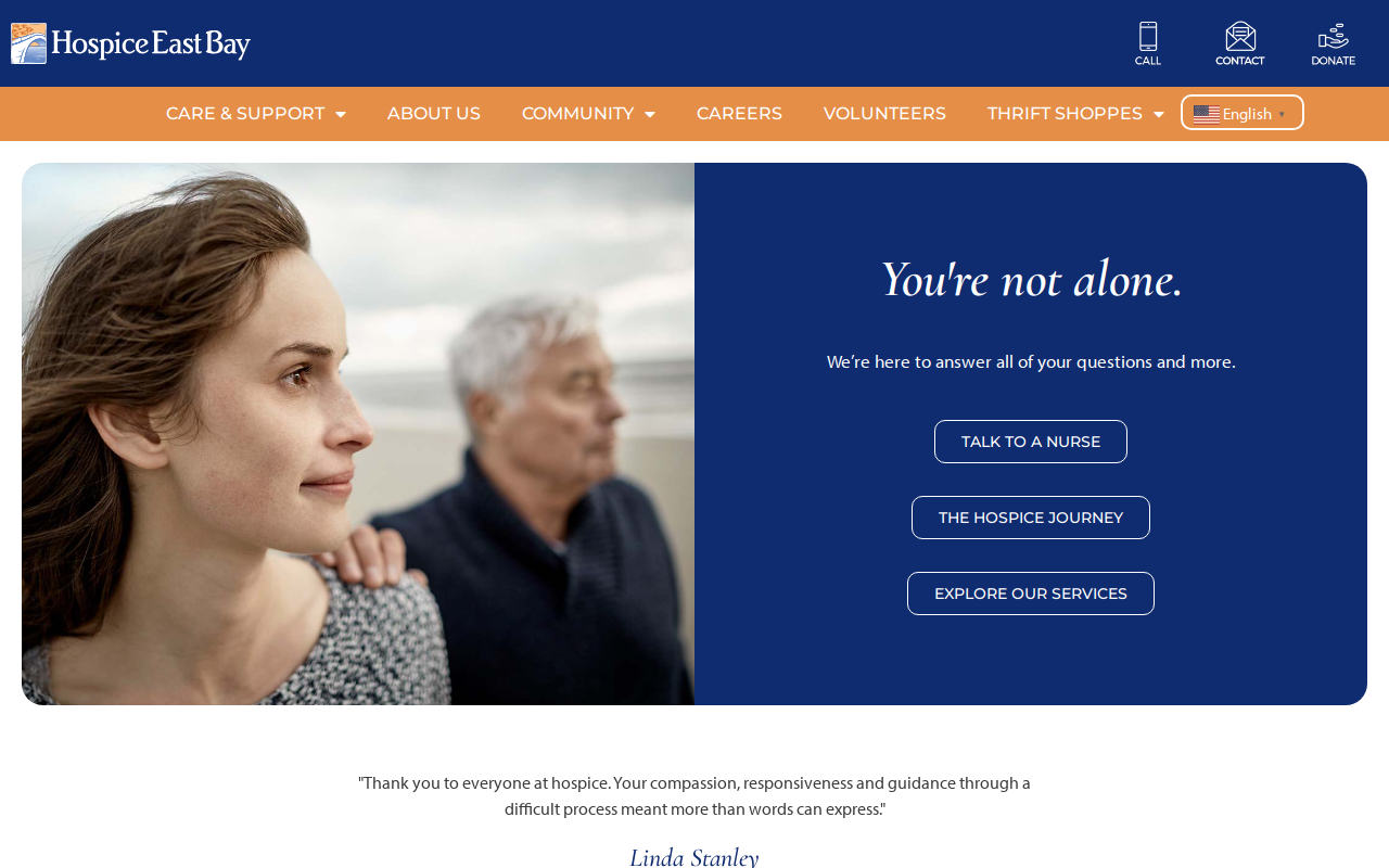 Hospice Thrift Shoppes website preview