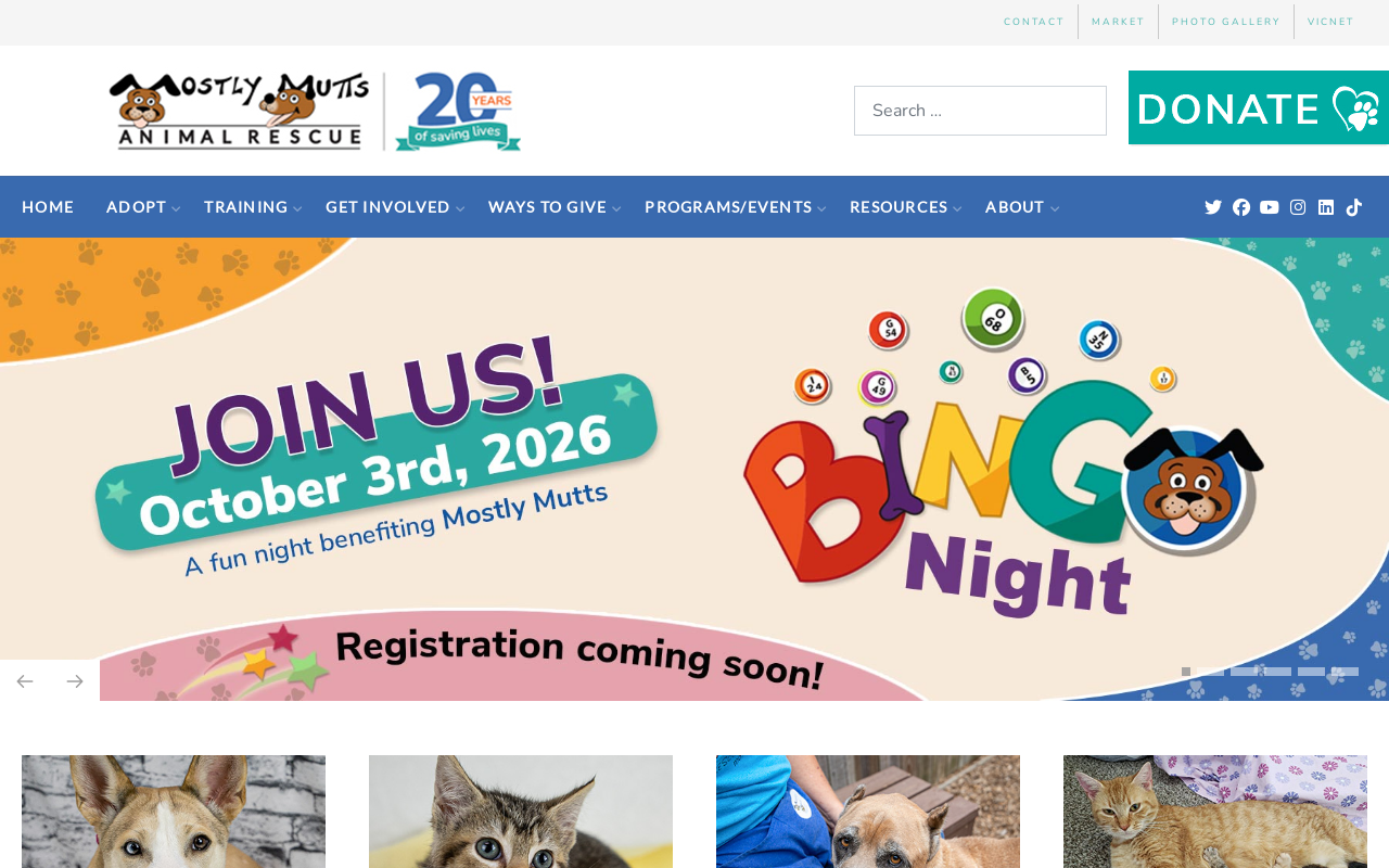 Mostly Mutts Market website preview