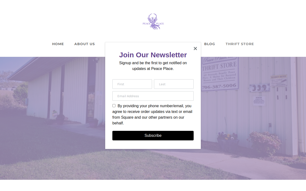 Peace Place Thrift Store website preview