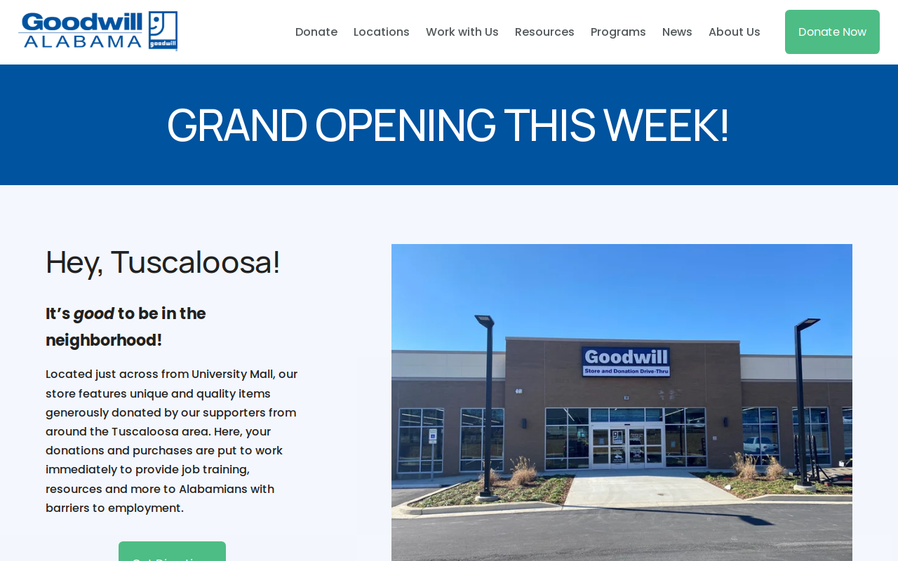 Goodwill website preview