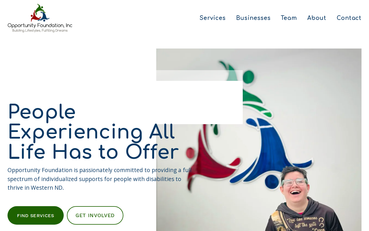 Second Opportunity website preview