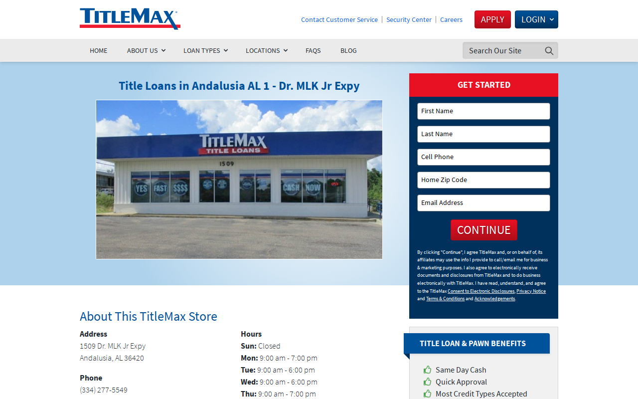 TitleMax Title Pawns website preview
